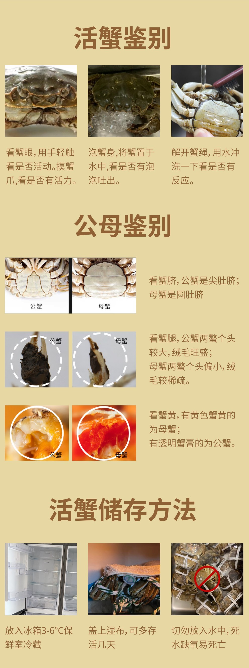 常规大闸蟹详情页 (10).jpg