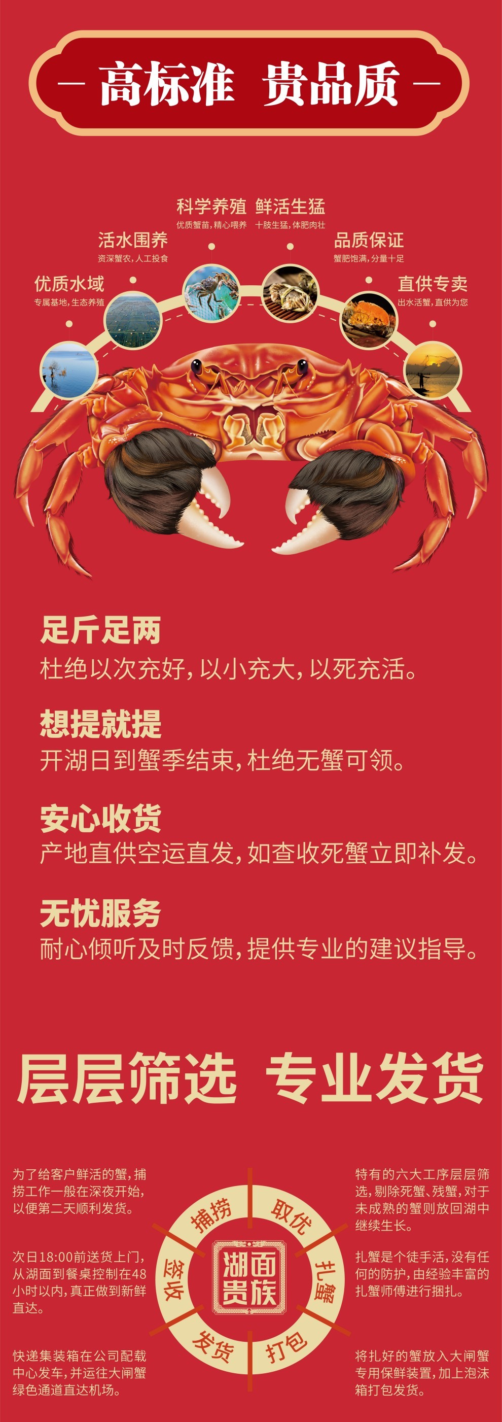 常规大闸蟹详情页 (7).jpg