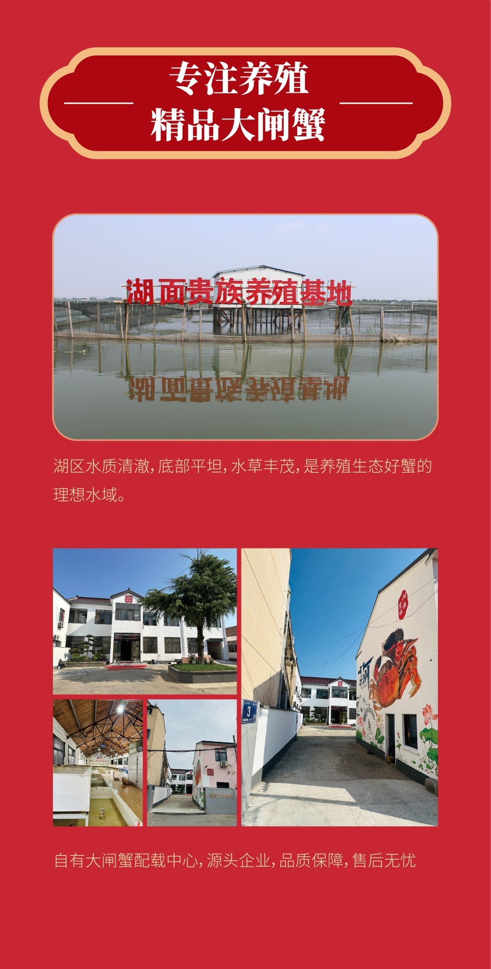 常规大闸蟹详情页 (6).jpg