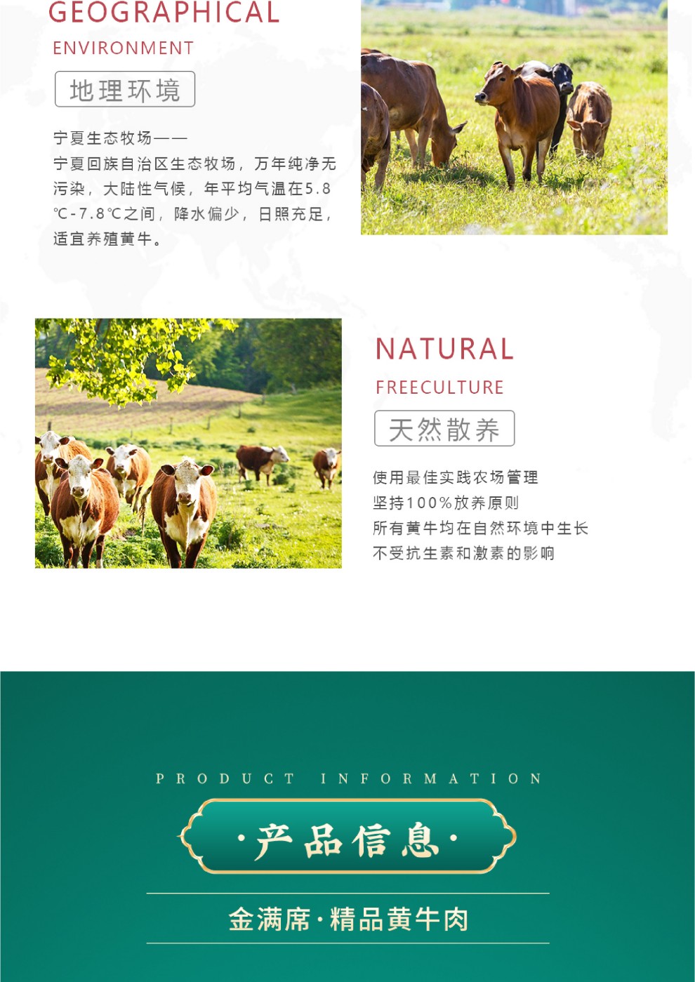 黄牛-12.jpg