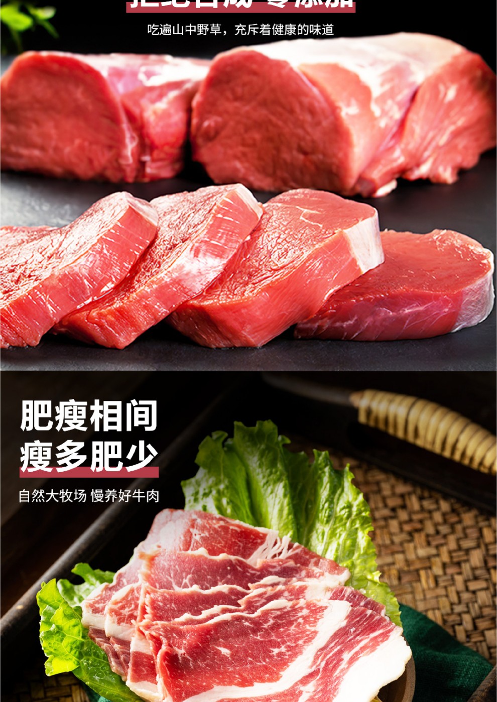 黄牛-16.jpg