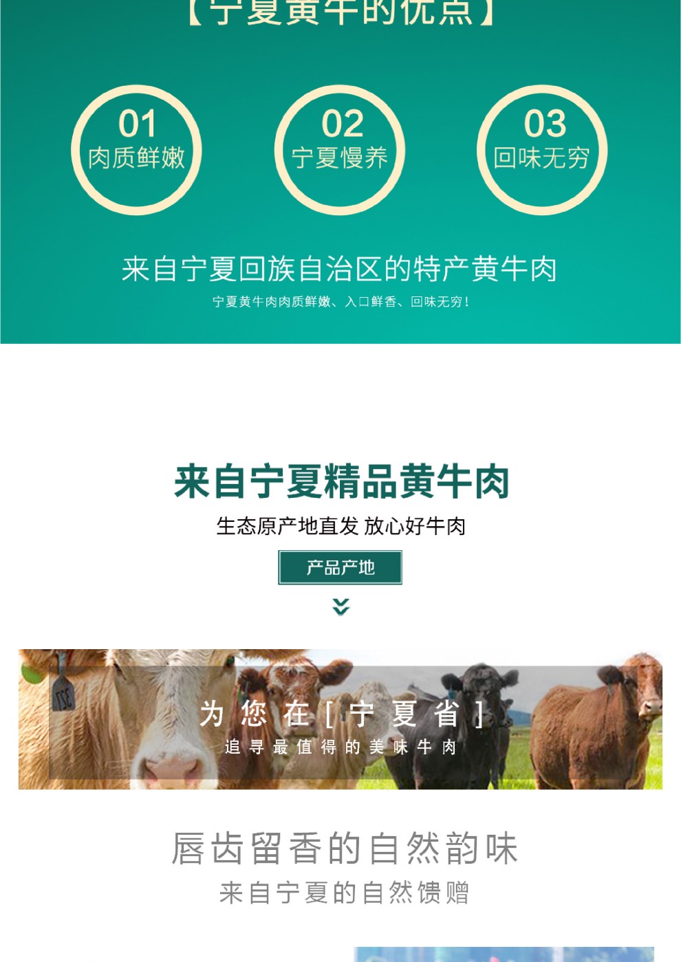 黄牛-11.jpg