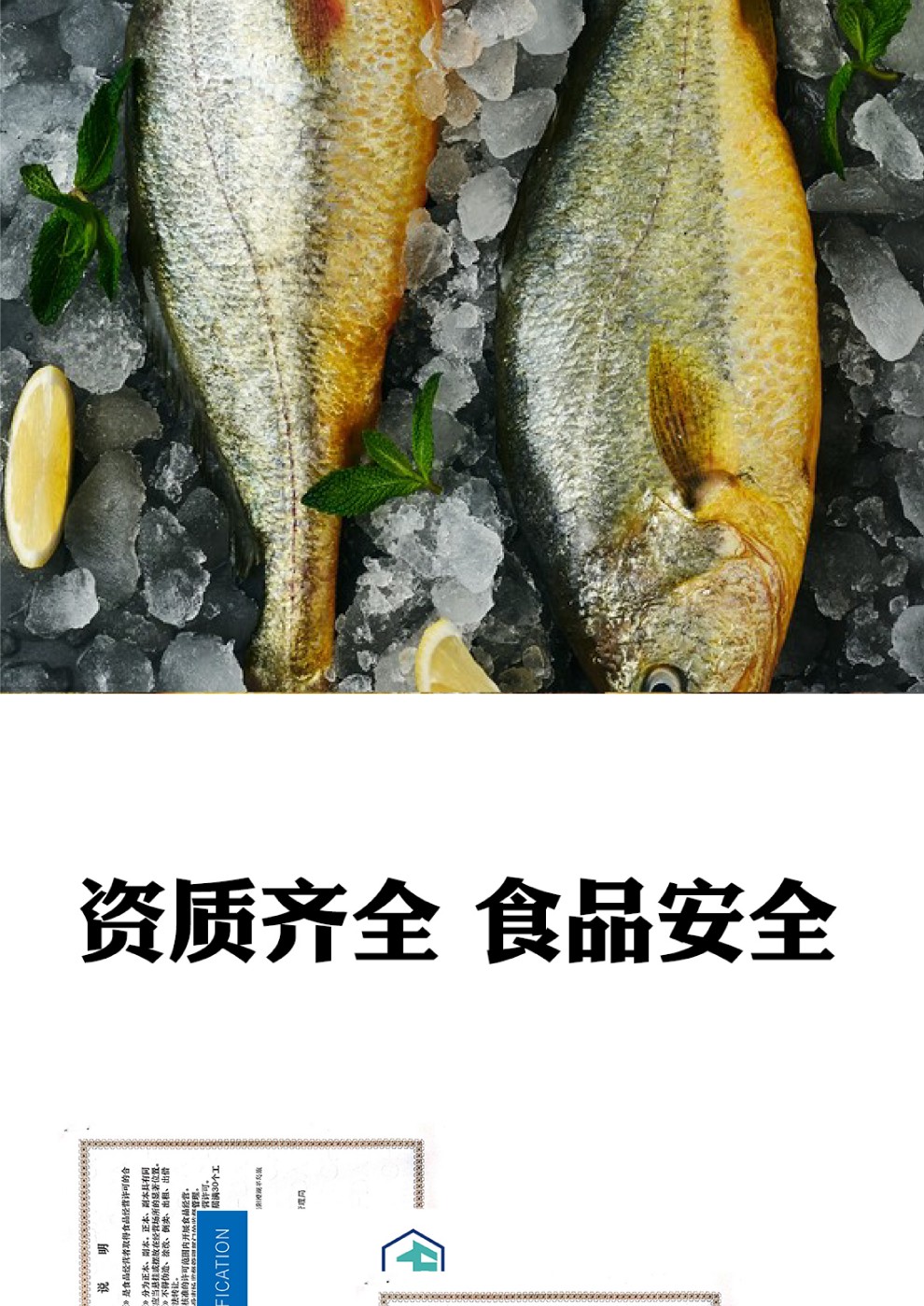 海鲜主图-17.jpg