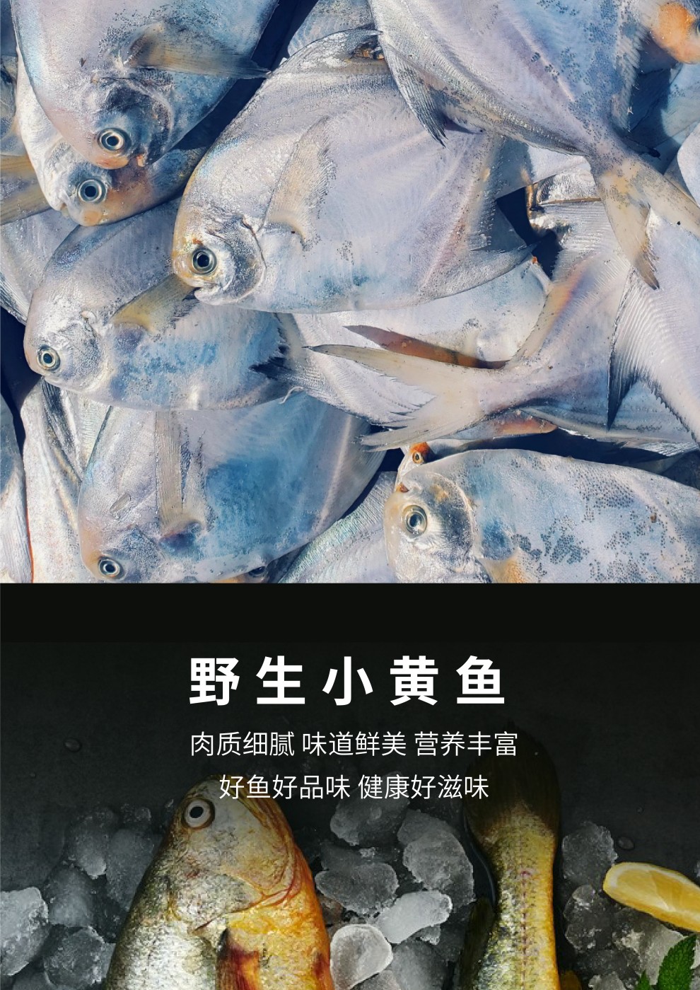 海鲜主图-16.jpg
