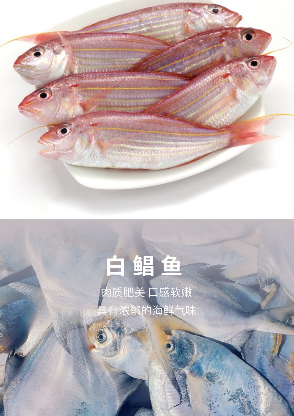 海鲜主图-15.jpg