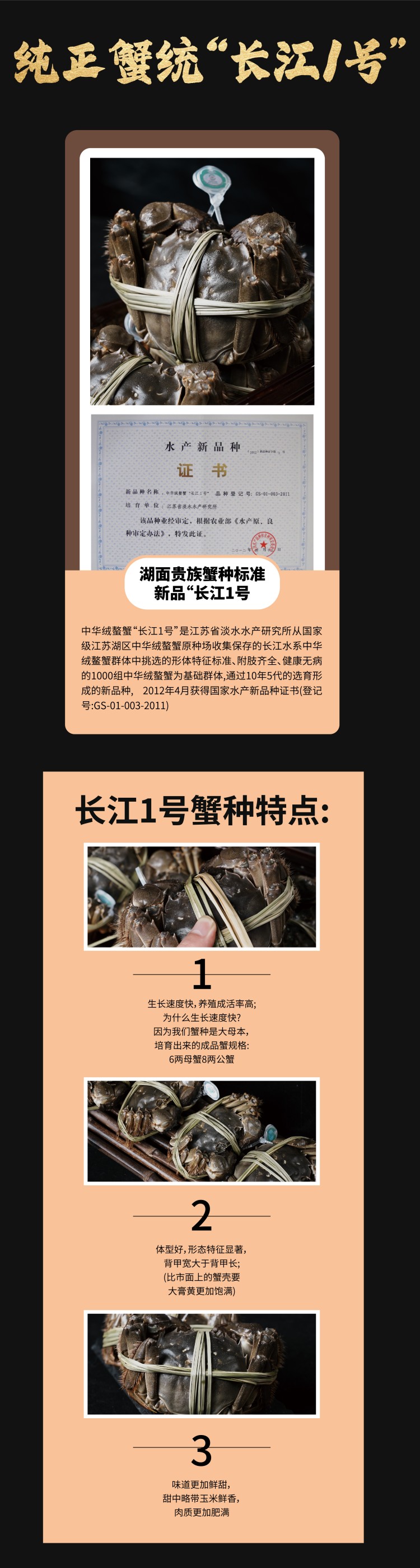 常规-05.jpg