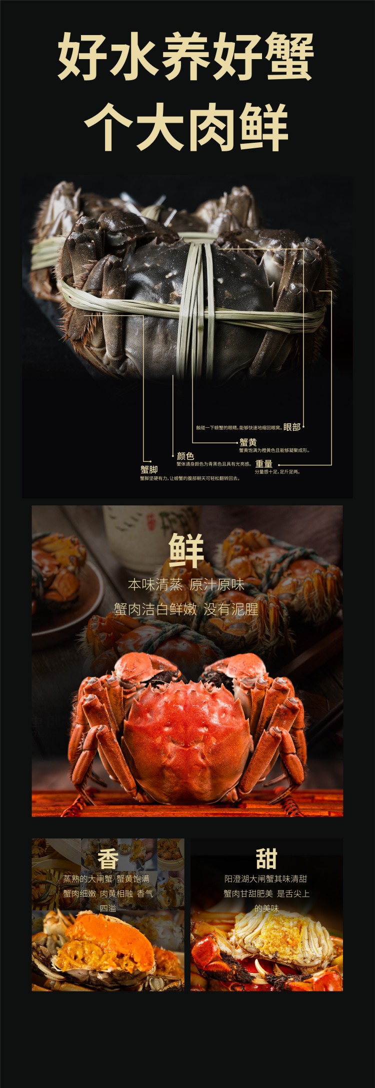 常规-04.jpg