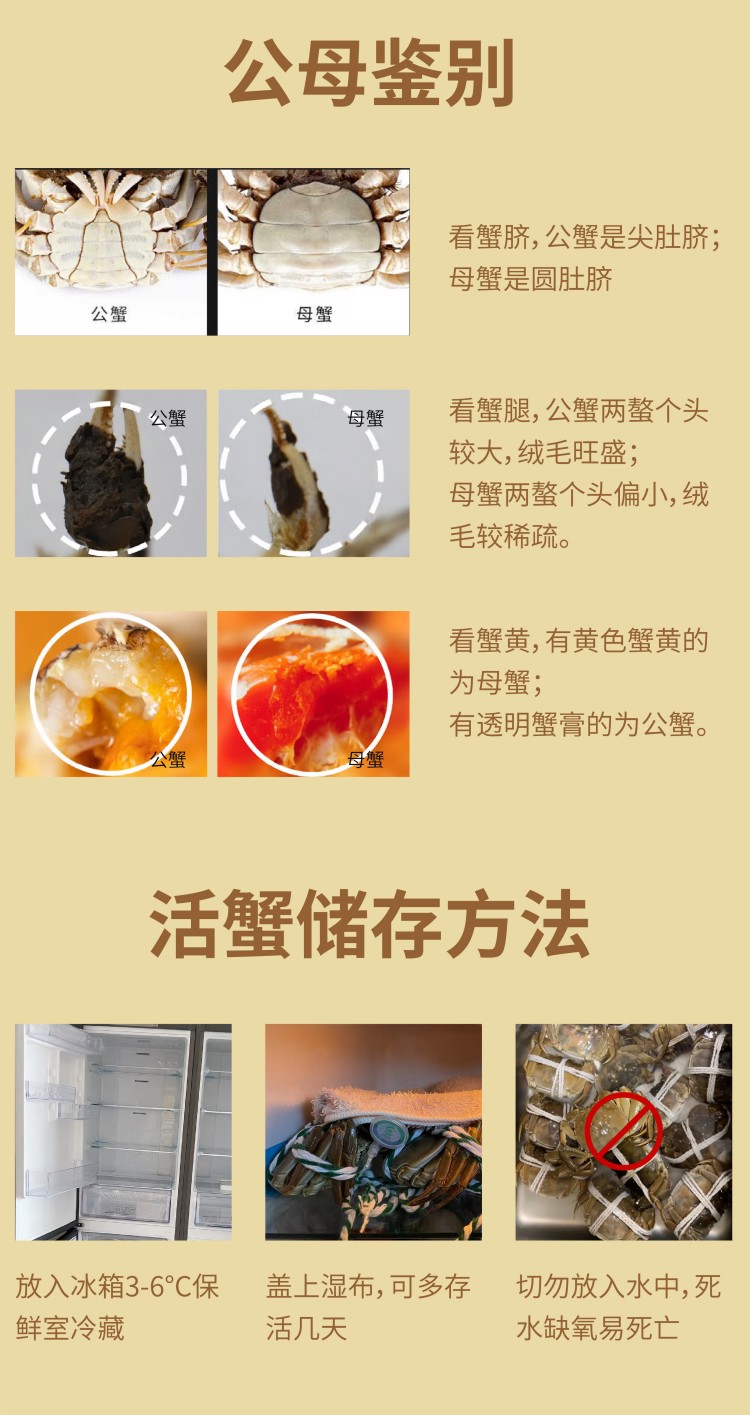 常规-09.jpg